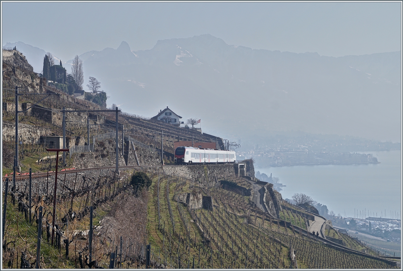  Fernverkehr  auf der Train de Vignes Strecke: der für den Fernverkehr beschaffte SBB Flirt3 RABe 523 503  Mouette  (RABe 94 85 0 523 503-6 CH-SBB) ist als S7 auf der Train de Vignes Strecke zwischen Vevey und Puidoux oberhalb von St-Saphorin untwegs. 

11. Februar 2023
