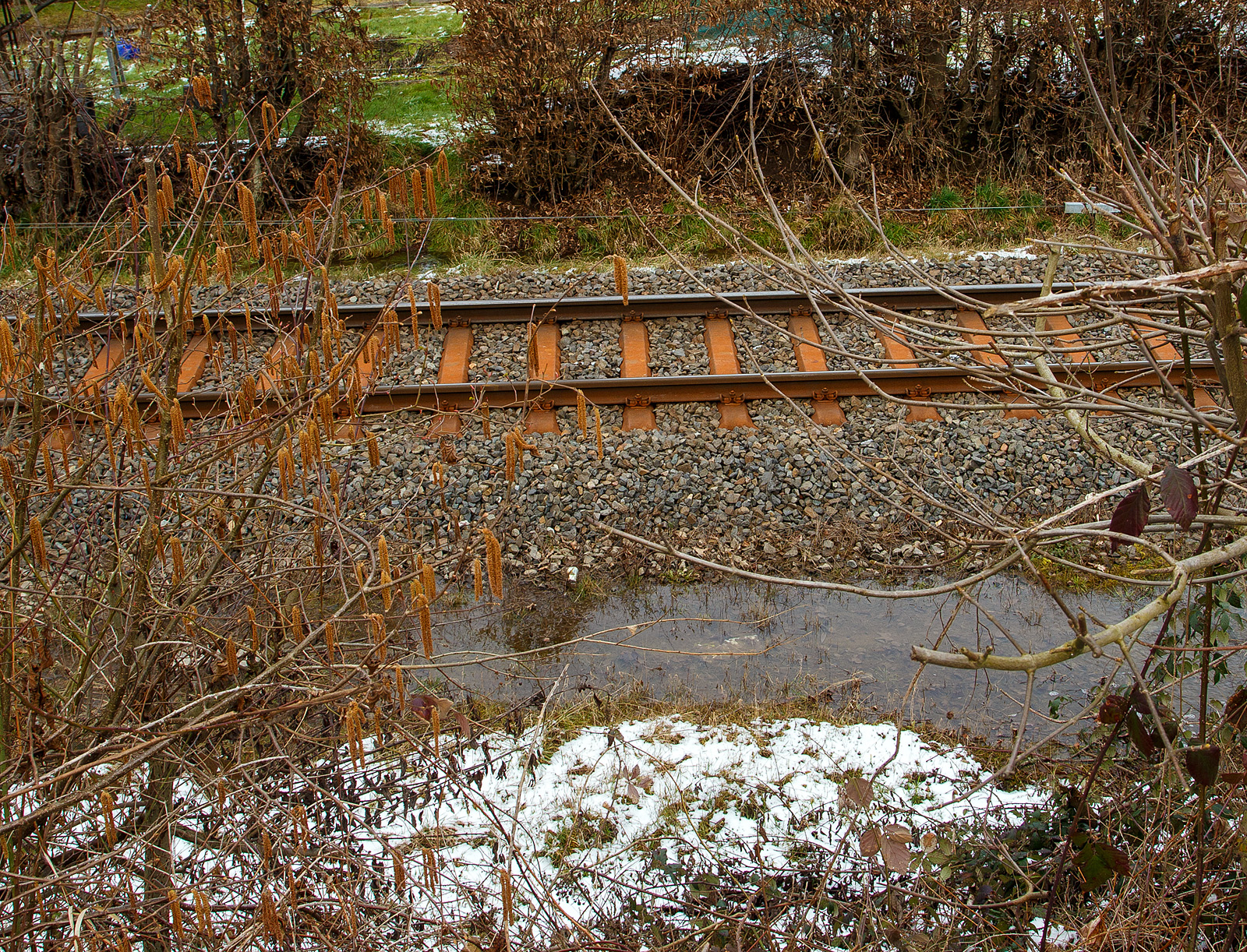 Schlimmer geht immer.....
Totalsperrung der Hellertalbahn (KBS 462 / Strecke 2651)
Nun ist Herdorf Bahntechnisch zur Insel geworden. 
Es gibt seit dem 10.03.23 eine Gleisuntersp�lung auf der Strecke 2651 bei km 91,0, so ist vorerst auch kein G�terverkehr von Haiger nach Herdorf m�glich. Da die Strecke Betzdorf – Herdorf, bereits wegen dem Felsstutz  am 23.12.2022, seitdem gesperrt ist Herdorf nun Bahntechnisch ganz abgeschnitten. 

Auf dem Bild sieht man gut das sich das Wasser seinen Weg unter dem Gleis hindurch auf die andere Seite gesucht hat. Optisch konnte ich aber keinen gro�en Schaden am Gleisbett selbst sehen, aber wenn so viel Wasser hindurch gelaufen ist wird es wohl weich sein. 