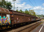Zweiachsiger, gro�r�umiger Schiebewandwagen 21 81 2471 182-9 A-RCW, der Gattung Hbbills, der Rail Cargo Austria AG (Ein Unternehmen der �BB), am 07 Juni 2026 bei der Zugdurchfahrt in Scheuerfeld/Sieg. 

Gedeckter, zweiachsiger Gro�raum-Schiebewandwagen mit Trennw�nden (6 Trennw�nde). Optimal zum Transport von palettierten G�tern. (38 Palettenstellpl�tze).

Diese gro�r�umigen Wagen sind mit Schiebew�nden ausger�stet, die von einer Person bewegt werden k�nnen. Im ge�ffneten Zustand ist der Zugang zur gesamten Ladefl�che von beiden Seiten m�glich. Be- und Entladen mit Gabelstaplern ist damit sowohl von einer Rampe als auch von ebener Erde m�glich. Dieser Wagen ist f�r eine schonende Bef�rderung hochempfindlicher G�ter verschiedener Art mit der Transportschutzeinrichtung  Verriegelbare Trennw�nde  ausgestattet. Bei Transportschutzeinrichtungen kann der Wagenraum in einzelne Kammern unterteilt werden. Ladefl�che und Laderaum verringern sich um den Anteil der eingebauten Transportschutzeinrichtung. Die verriegelbaren Trennw�nde rasten in Lochleisten in Fu�boden und am Obergurt des Wagens ein.

TECHNISCHE DATEN:
Spurweite: 1.435 mm (Normalspur)
Anzahl der Achsen: 2
L�nge �ber Puffer: 15.500 mm
Achsabstand:  9.000 mm
L�nge x Breite der Ladefl�che: 13.760 x 2.900 mm
Fu�bodendicke (Holz): 30 mm
Eigengewicht: 16.500 kg
Ladefl�che: 39,9 m�
Rauminhalt: 111,6 m�
Max. Ladegewicht: 24,0 t (ab Streckenklasse C) / 28,0 t (ab Streckenklasse D)
H�chstgeschwindigkeit: 100 km/h (beladen) / 120 km/h (leer)
Bremse: KE-GP-A (LL)
Bremssohle: IB 116
Feststellbremse: Nein
Kleinster, befahrbarer Gleisradius: R 35 m
Intern. Verwendungsf�higkeit: RIV

Die Bedeutung der Gattungs- und Kennbuchstaben (hier Hbbills):
H Gedeckter Wagen in Sonderbauart
bb Ladel�nge 14 m und mehr
i Schiebew�nde
ll Verriegelbare/bewegliche Trennw�nde
s H�chstgeschwindigkeit 100 km/h
