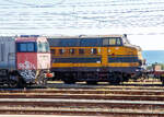 Leider hielt unser IC, für ein besseres Bild sehr, am 16.07.2022 im Bahnhof Paola (Kalabrien), sehr ungeschickt....
Links vorne die G 2000 22 ER (92 83 2200 022-7 I-FER), eine Vossloh G 2000-2 BB. Und dahinter die ex SNCB 5105, ex SNCB 200.005 (Baujahr 1961 CMI Cockerill 3737), seit 2007 in Italien bei der Francesco Ventura Costruzioni Ferroviarie S.r.l. (Paola), gehört zur Salcef Group. Die heutige Bezeichnung ist mir leider unbekannt.