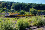 Der GOTTWALD Gleisbauschienenkran GS 40.08 T der HERING Bahnbau GmbH (Burbach), D-HGUI 99 80 9119 002-2, (ex 97 82 41 503 19-9 D-HGUI, ex 97 82 41 503 17-3, ex 60 80 092 3576-3) abgestellt am 26