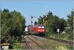 Die DB V 245 035 verlässt mit ihrem IRE nach Laupheim West den letzten Bahnhof in Bayern, Nonnenhorn, und wird in wenigen Minuten Kressbronn in Baden Württemberg erreichen.