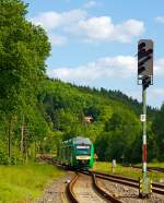 In den gr�nen W�ldern des Westerwaldes....