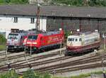 146 227-4; 146 225-8 und 103 113-7 in Ulm vor dem denkmalgeschützten Lokschuppen, der in zwischen abgerissen wurde, am 17.08.2014.