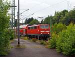 Ein Zug im Gr�nen - Die 111 077-4 zieht den RE 9 (Rhein-Sieg-Express) am 24.06.2012 von Betzdorf (Sieg) weiter in Richtung K�ln.