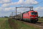 Am 21 Augustus 2025 passiert DBC 193 325 mit Schiebewandwagen der Fotograf bei der Bahnübergang in Hulten.