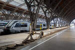 Zwei gekuppelte Wale der DB Regio S�dost, vorne 641 027 und ein Weiterer, haben als RB 113 „Der Geithainer“ (Geithain – Bad Lausick – Leipzig), am 11.06.2022 den Hbf Leipzig