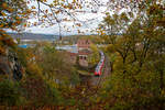   Zwei gekuppelte 4-teilige Tallent 2 (442 760 / 260 und 442 259 und 759) der DB Regio NRW fährt am 31.10.2017, als RE 9 (rsx - Rhein-Sieg-Express) Siegen - Köln - Aachen, durch