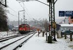 Heute hat es etwas geschneit und es schneit noch....