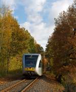 Die Konkurrenz ist weg, da muss der Fotospezialist f�r die Hellertalbahn mal wieder zeigen was er drauf hat;-) Ein GTW 2/6 der Hellertalbahn kommt am 27.10.2012 von Herdorf, �ber die genamtliche