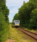 Durch die gr�ne H�lle an der Heller f�hrt am 01.07.2013 ein Stadler GTW 2/6 der Hellertalbahn als RB 96 (Hellertalbahn) Dillenburg-Haiger-Burbach-Neunkirchen-Herdorf-Betzdorf/Sieg, �ber die
