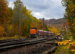   Trotz Gleisbaustelle im Bereich Herdorf findet noch G�terverkehr statt.