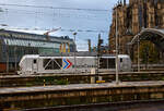 Die 248 059 alias DM4003 (90 80 2248 059-8 D-RHC), eine SIEMENS Vectron Dual Mode, der RheinCargo fährt am Morgen des 21 Oktober 2025, auf Tfzf (Triebfahrzeugfahrt) durch den Hauptbahnhof