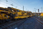 Die Plasser & Theurer Planumssanierungs- und Reinigungsmaschine RPM-RS-900 „Katharina die Große“ der SPITZKE SE (Großbeeren), Schweres Nebenfahrzeug Nr.