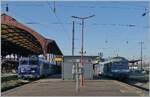 Heutzutage ist es eher die Ausnahme als die Regel im Regionalzugverkehr Lokbespannte Z�ge anzutreffen. In Strasbourg hatte ich das Gl�ck, gleich zwei Lokbespannte Fluo-Regionalz�ge auf einem Bild fotografieren zu k�nnen: Rechts die SNCF BB 22276 mit einem Regionalzug nach S�lestat und rechts im Bild der SNCF Diesellokklassiker in Form der SNCF BB 67599 welche mit ihrem TER 831811 von Saint-Di�-des Vosges im Zielbahnhof Strasbourg angekommen ist. 19. M�rz 2025