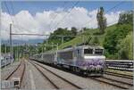 Die SNCF BB 22391 'Nez cass�' f�hrt mit ihrem TER 96634 durch den Bahnhof von La Plaine und erreicht in K�rze Frankreich. Noch stehen die alten Gleichstromfahrleitungsmasten, die mit SBB Fahrleitungsutensilien nachger�stet nun mit SNCF Wechselstrom von 25000 Volt 50 Hertz die Strecke versorgen. Doch wie ganz links im Bild angedeutet, stehen dem Bahnhof gr�ssere Umbauarbeiten bevor, so dass sich der Bahnhof wohl demn�chst in einem anderen Gesicht zeigen wird. Ganz links im Bild unten  st�rt  ein St�ck Prellbock, zeigt aber, dass ich das Bild vom Bahnsteig aus gemacht habe. Der TER ist auf der Fahrt von Gen�ve (ab 9:57) nach Valence (an 13:13). 

1. Juni 2026 