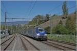 Nicht nur im Elsass werden im TER Verkehr Steuerwagen eingesetzt, wie hier beim TER 96634 von Gen�ve nach Valence-Ville bei der Durchfahrt des Zuges in La Plaine. Weit interessanter als der am Schluss fotografierende Steuerwagen w�re die an der Spitze laufende BB 22200 gewesen, doch da gleiche hinter meinem R�cken ein L�man-Express RABe 522 stand, konnte ich den von Gen�ve kommenden Zug nicht sehen. 
Ich stehe westlichsten Ende des Bahnsteiges 1, das Gleis links im Bild Endet kurz dvor mti einem Prellbock. 
Ebenfalls interessant (und das geplante Motiv des Bildes) der alte SNCF Gleichstromfahrmast welcher bei der Umstellung von DC zu AC bedarfsweise angepasst wurde. Doch nun scheint es, dass der Bahnhof von La Plaine umgebaut wird und die siebzig j�hrigen Masten neuen weichen m�ssen. 

16. April 2026