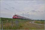 Der FS Trenitalia ETR 400 053 ist als Frecciarossa FR 9508 von Roma Termini (ab 06:00) nach Torino Porta Nuova 11:05 bei Livorno Ferraris auf der Schnellfahrstrecke Milano - Torino unterwegs. Die Halteorte des Zuges sind Roma Tiburtina, Orte, Firenze SMN, Bolgogna Centrale, Reggio Emilia AV, Milano Rogoredo, Milano Centrale, Rho Fiera Milano und Torino Porta Susa. 

15. Juni 2024