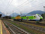 Zwei neue Gesichter in Domodossola (am 09.09.2021).....