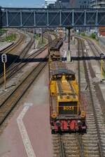 Die CFL Cargo 304 (MaK G 850 BB) schiebt einige mit Stahlträgern beladene Güterwagen in die Abstellung von Belval Université.