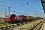 �BB 1293 045, ist mit einem Containerzug in Verona Porta Nouvo angekommen. 09.05.2025

