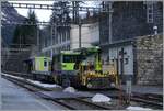 Während der kurzen Stunde die ich Goppenstein verbrachte, besorgte der BLS Tm 223 204-5 ein Manöver und sorgte zum ohnehin recht straken Zugsverkehr für weitre Abwechslung. 
Der Tm 232 204-5 trug die UIC Nummer Tm 98 85 5232 204-5 CH BLSN. 

3. Jan. 2024