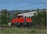 Die Am 841 036-7 im Rangierbahnhof von Biel, welcher im östlichen Bahnhofskopf noch mit Formsignalen ausgerüstet ist.