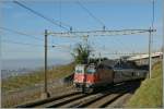 Leider sind die Re 4/4 II zunehmend ein seltener Gast im Lavaux, hier �berraschte mich die 11132 zwischen Grandvaux und Bossi�re mit einem Disopzug.