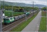 Die BAM MBC Re 4/4 II (UIC 91 85 4420 506 8 CH MBC) erreicht mit ihrem Kieszug Apples - Morges - Gland in Kürze ihr Ziel  Bei Gland, den 9.