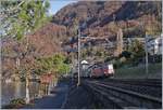 Die SBB Re 420 323-5 mit einem Güterzug in einer der spätherbstlichen Landschaft kurz vor Villeneuve.