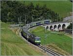 Die BLS Re 4/4 II 502 ist bei Garstatt mit einem RE nach Interlaken Ost unterwegs.