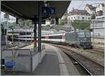 Die SBB Re 4/4 II 11161 in ihrer grünen Lackierung mit einem IC Zürich - Singen erreicht  Schaffhausen.