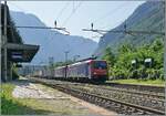 Im Gegenlicht fährt die SBB Re 474 013 mit einer weiteren Re 474 und einem langen Güterzug Richtung Brig durch den Bahnhof von Varzo.