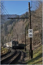 Eine MOB GDe 4/4 fährt mit ihrem MOB Belle Epoque durch den Wald kurz vor Les Avants, ein kurzer Streckenabschnitt, der noch mit den alten Holzmasten ausgerüstet ist.