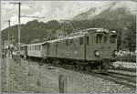 50 Jahre Blonay Chamby - MEGA BERNINA FESTIVAL:  Bündner Tag im Saaneland  - die RhB Ge 4/4 181 heute als BB Ge 4/4 81 bei der Blonay Chamby Museumsbahn, erreicht von Rougemont kommend den
