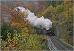 Das Baye de Clarens Viadukt ist sicherlich der Höhepunkt feiner Fahrt mit der Museumsbahn Blonay-Chamby, aber mir gefällt der darauf folgende Abschnitt in der Baye de Clarens Schlucht auch