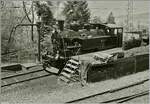 Die BFD HG 3/4 N° 3 im  BW Chaulin  im  BW Chaulin.