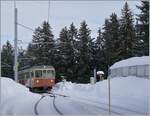 Der BLM Be 4/4 N° 31 (ex Bipperlisi) bei der Einfahrt in Winteregg von der Grütschalp her.