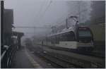 Nebel in Les Avants: Ein MOB Alpina bestehtne aus dem Be 4/4 9202, zwei Zwischenwagen und dem ABe 4/4  9302 als Regionalzug 2224 auf dem Weg nach Zweisimmen.