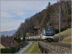 Grosse �berraschung: Der MOB GoldenPass Belle Epoque PE 2224 von Montreux nach Zweisimmen verkehret heute mit der MOB Ge 4/4 8002 an der Spitze und einem Alpina-Triebwagen am Schluss, wobei letzter