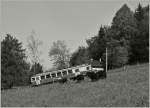 Der BDhe 2/4 74 als Regionalzug 1376 kurz vor Fayaux.