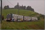 Eigentlich sind die  Lenkerpendel  wie der Name sagt, für den Verkehr zwischen der Lenk im Simmental und Zweisimmen gedacht, doch hin und wieder verirrt sich ein  Lenkerpendel  bis nach Montreux,