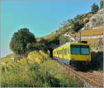 Der Train des Vignes an einer der wenigen m�glichen Stellen s�dlich des Trasses aufgenommen am 19.