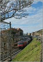 Keine sehr gute Fotostelle, aber die Knospen am Baum waren mir heute die Verr�nkung wert...