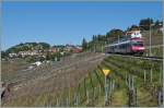 Der Travys Domino RBDe 560 384-0 im Einsatz auf der  Train des Vignes  Linie Puidoux-Chexbres - Vevey kurz nach Chexbres als S31 12065.