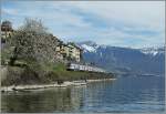 Frühling im Lavaux: Ein RABe 511 als RE von Vevey nach Genève bei St-Saphorin.