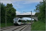 729-2 Der Thurbo GTW 526 729-5 als S22 erreicht auf seiner Fahrt von Singen nach Jestetten den Halt Bietingen.