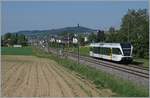 Der Thurbo GTW 526 735-6  Rümikon  ist im Klettgau zwischen Neunkirch und Wilchingen-Hallau auf dem Weg nach Erzingen (Baden) und erreicht in Kürze den Bahnhof Wilchingen Hallau.