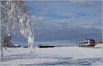 Zwischen Sales und Vaulruz konnte in einer herrlichen Winterlandschaft dieser SBB RBDe 560 Domino fotografiert werden.