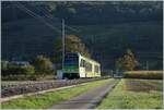Der TPC Beh 2/6 543  La Cath�drale  auf dem Weg nach Aigle kurz vor Villy.